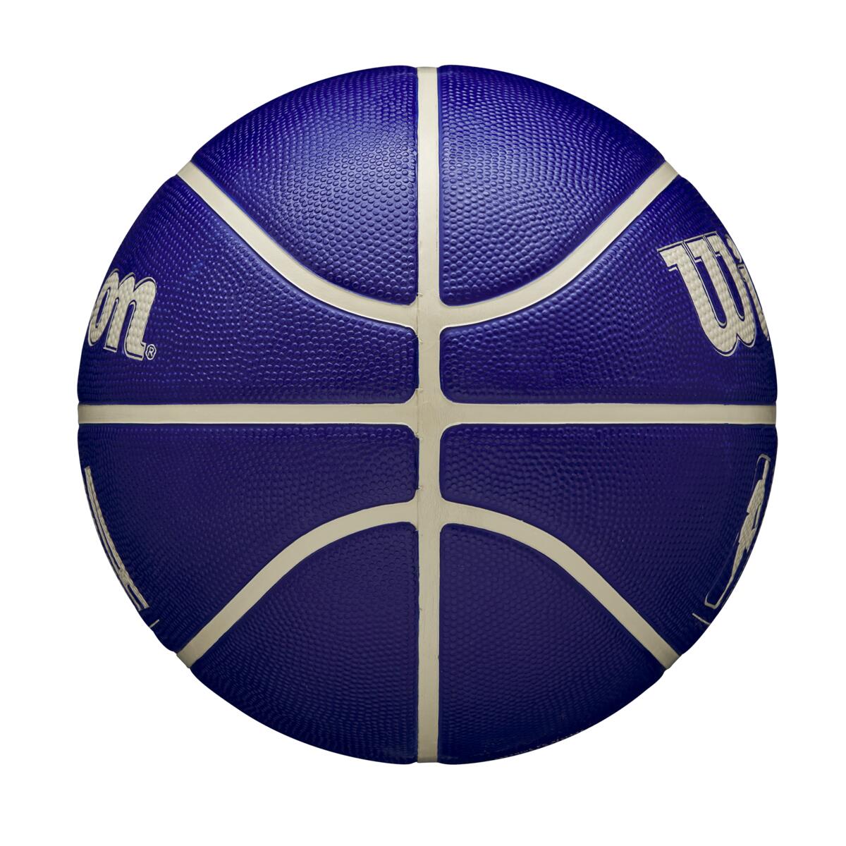 Bola de Basquete NBA DRV #7