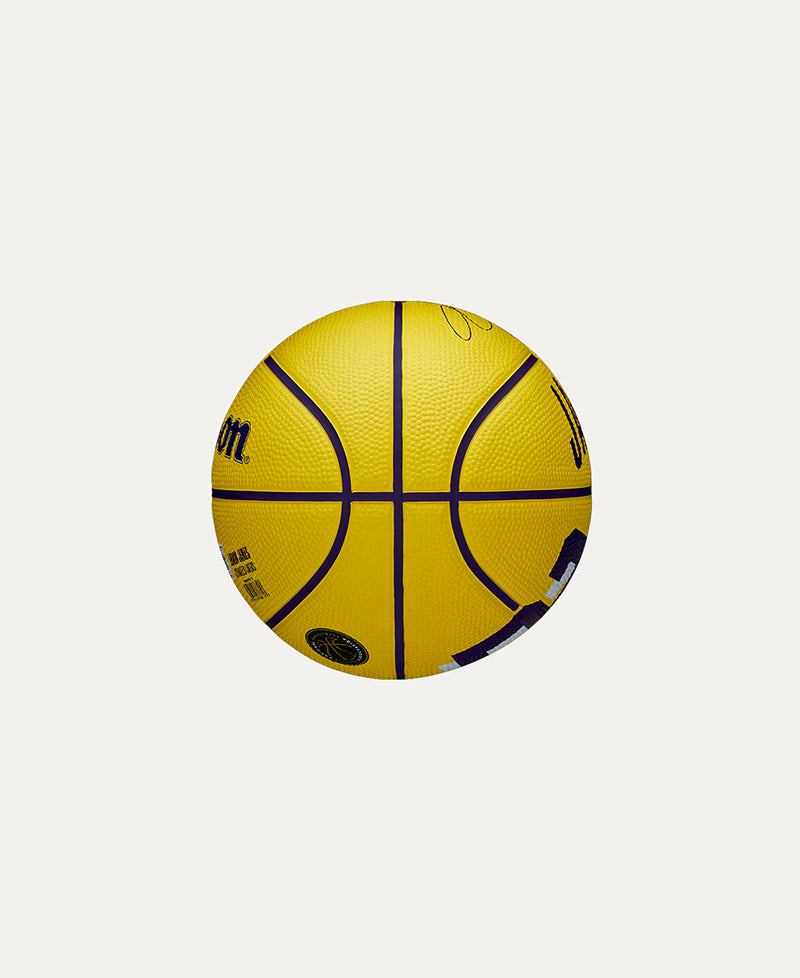 NBA Player Icon Lebron #3