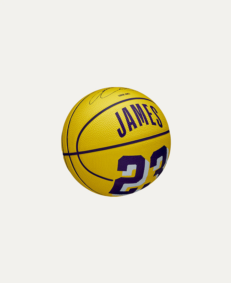 NBA Player Icon Lebron #3