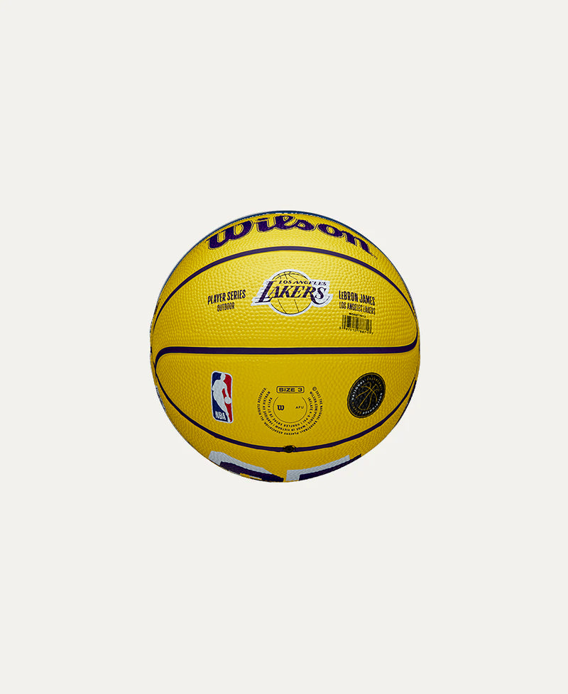 NBA Player Icon Lebron #3