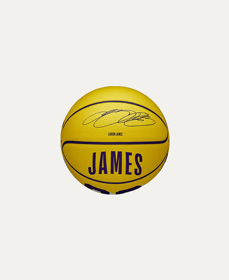 NBA Player Icon Lebron #3