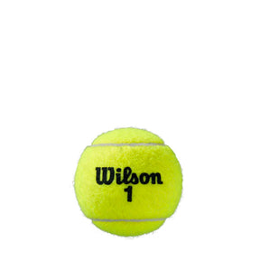 Bola de Tênis Roland Garros All Court
