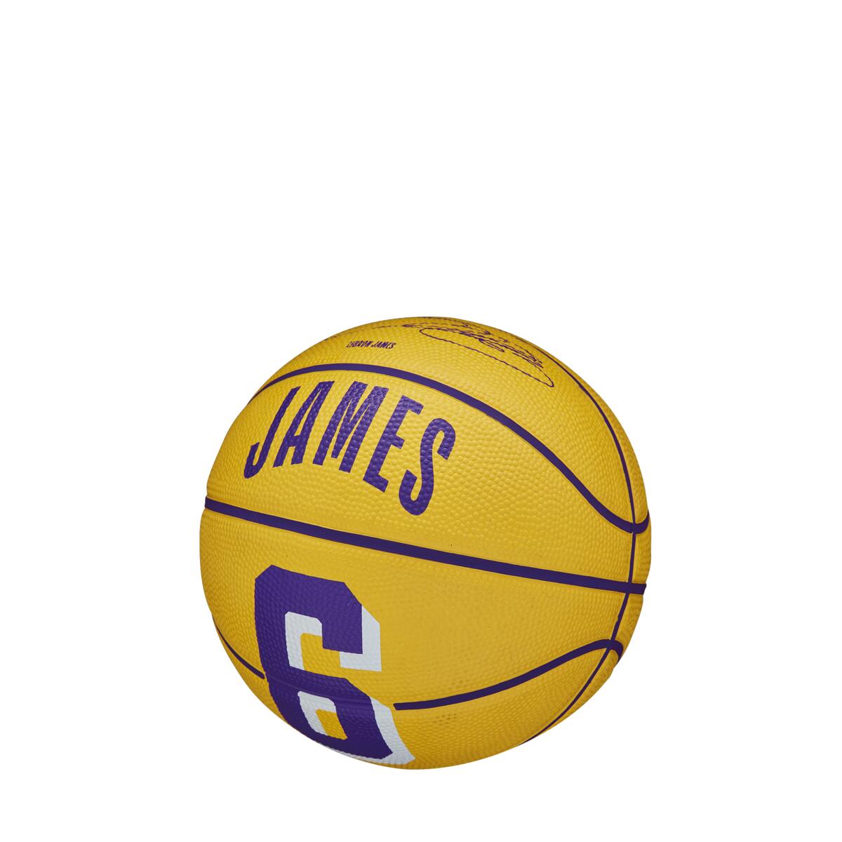 Mini lebron new arrivals
