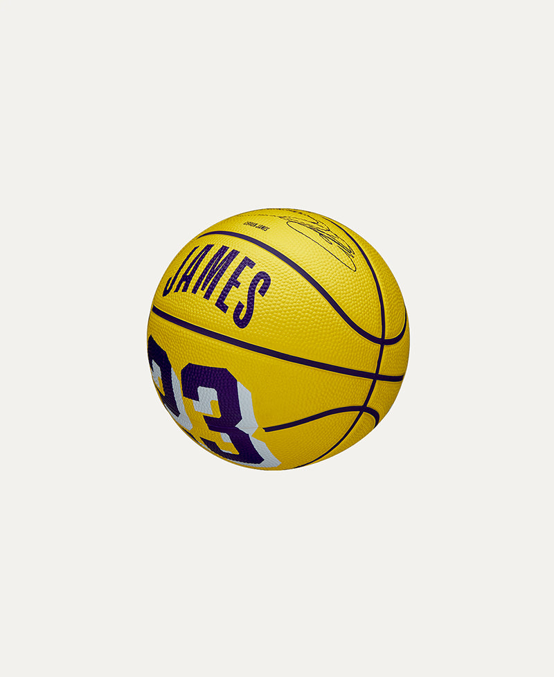 NBA Player Icon Lebron #3